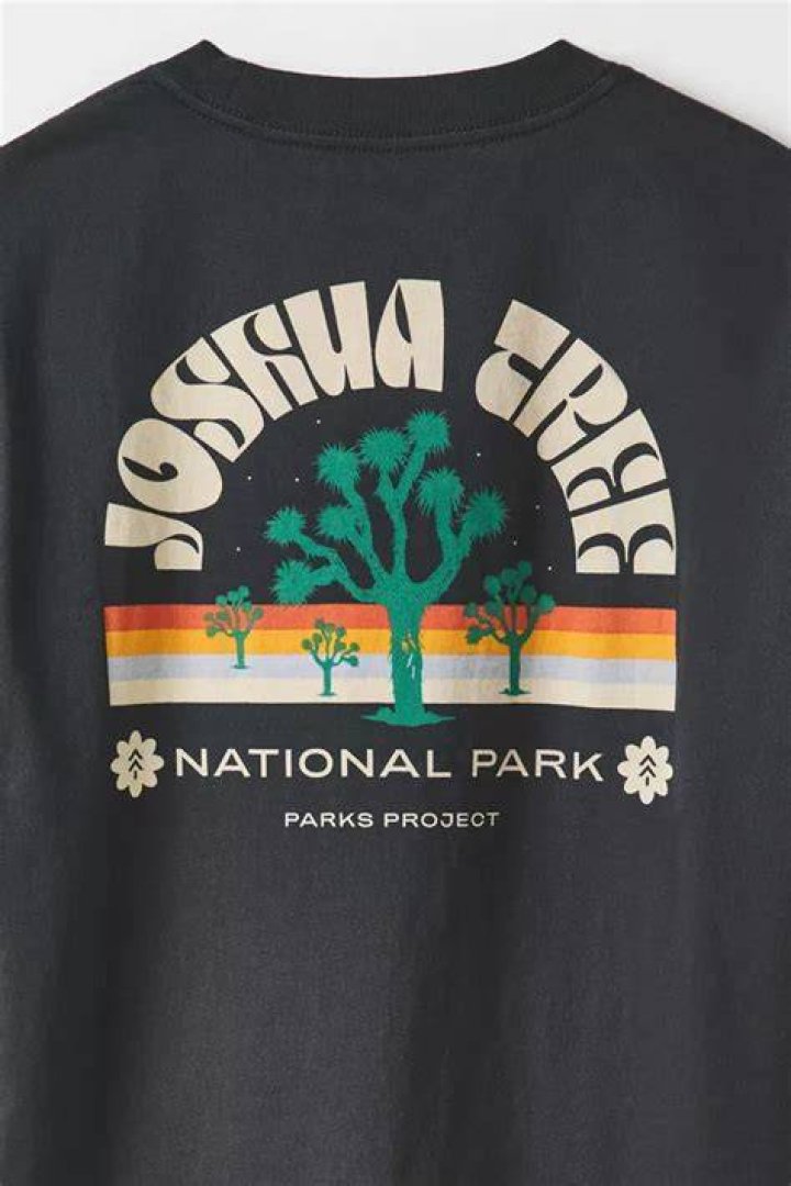 parks project graphic t-shirt, one of the best gifts for teen boys
