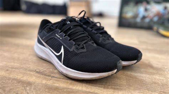 Pegasus 40 