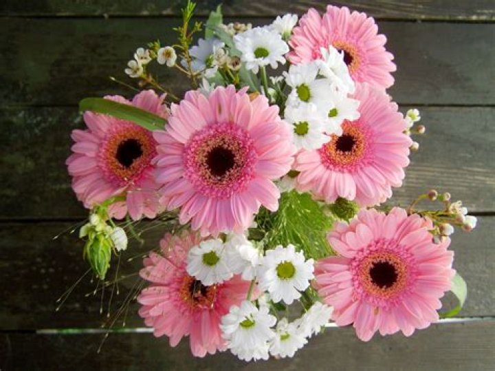 Petal, Flower, Bouquet, Flowering plant, Beige, Tan, Floral design, Flower Arranging, Cut flowers, Floristry, 