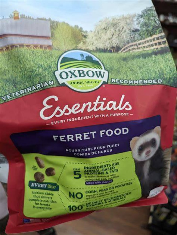 PetKeen_Can Ferrets Eat_cat food (1)