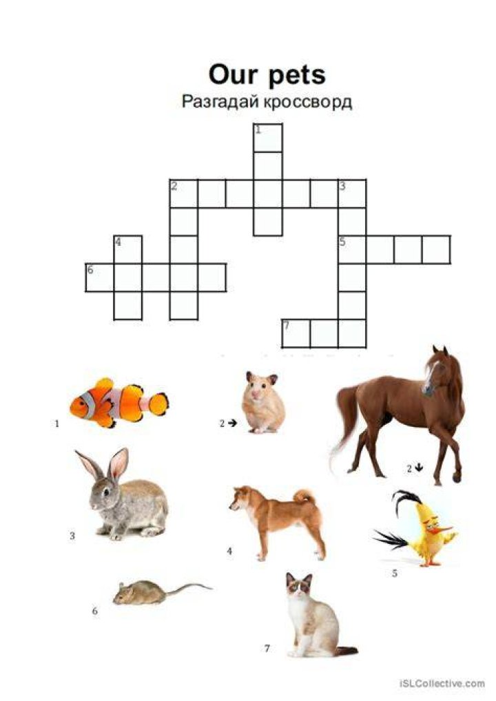 Pets crossword English ESL worksheets pdf & doc