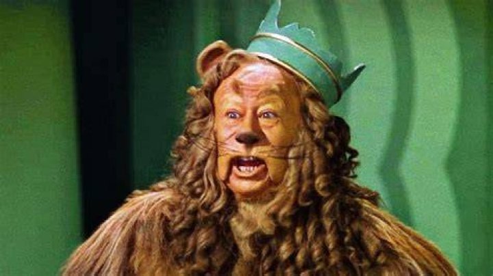 Photos of The Cowardly Lion (The Wizard Of Oz) on myCast