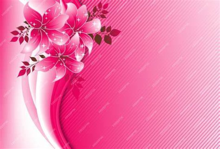 Pink, Floral design, Beauty, Flower, Flower Arranging, Crown, Floristry, Fashion accessory, Fashion, Headgear, 