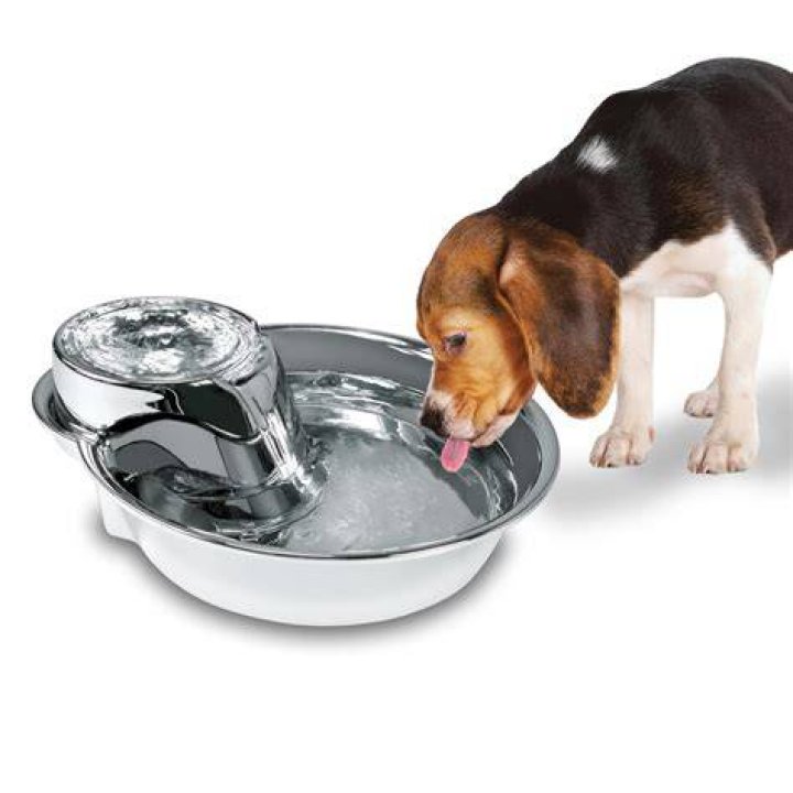 Pioneer Pet Stainless Steel Dog & Cat Fountain