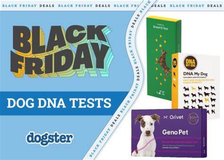 PK BLACK FRIDAY DOG DNA