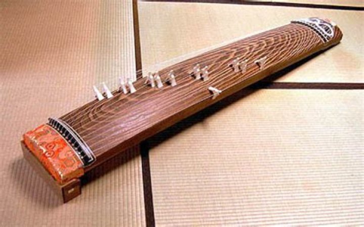 plucked japanese instrument plucked japanese instrument