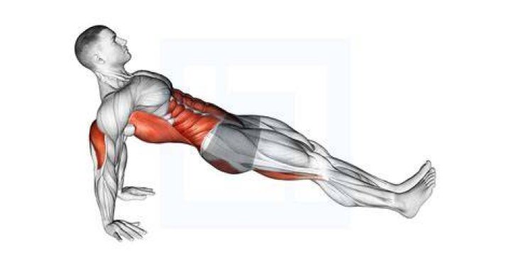 Press up, Arm, Plank, Fitness professional, Chest, Joint, Leg, Muscle, Knee, Abdomen, press up, arm, plank, fitness professional, chest, joint, leg, muscle, knee, abdomen,