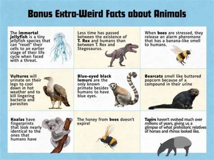 preview for 8 Weird Facts You Never Knew About Your Heart