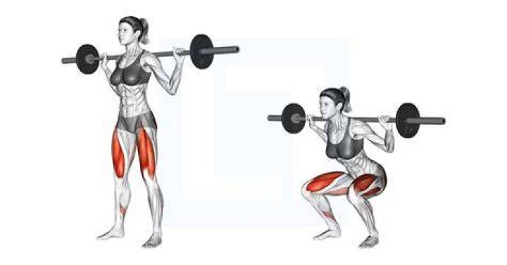 preview for Barbell Squat