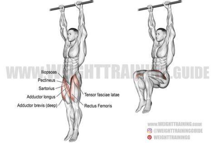 preview for Hanging leg raises