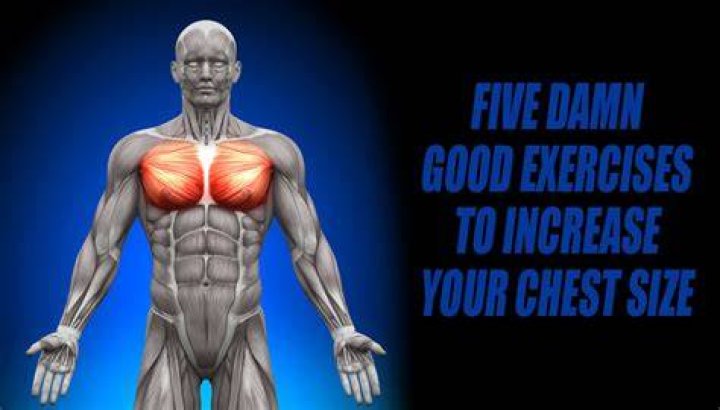 preview for Increase Your Chest Gains With The T-Bar Dumbbell Fly | Men's Health Muscle