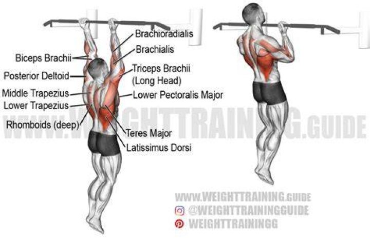 preview for One Handed Chin-Up