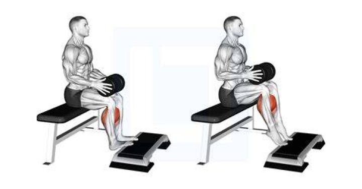 preview for Seated calf raise (leg press machine)