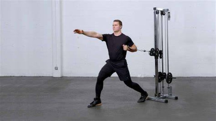 preview for Single Arm Cable Row