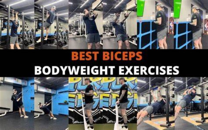 preview for The Body-Weight Biceps and Triceps Workout