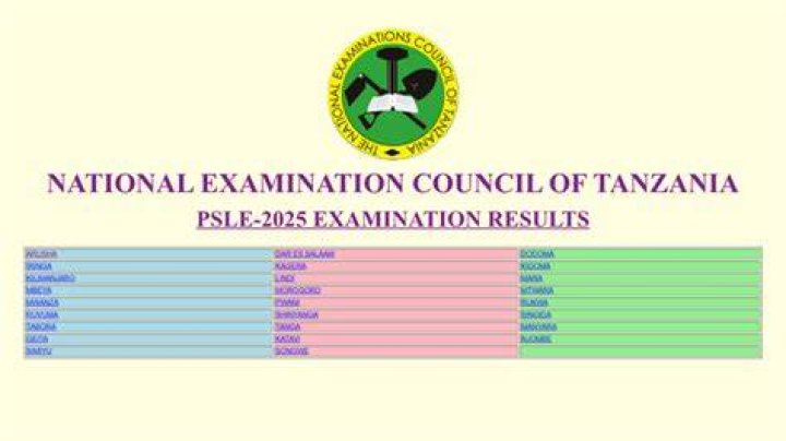 Psle Results 2022/2023 Necta Standard Seven 7 Results