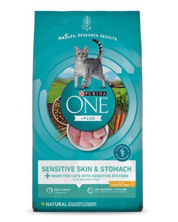 Purina ONE Sensitive Skin & Stomach Dry Cat Food