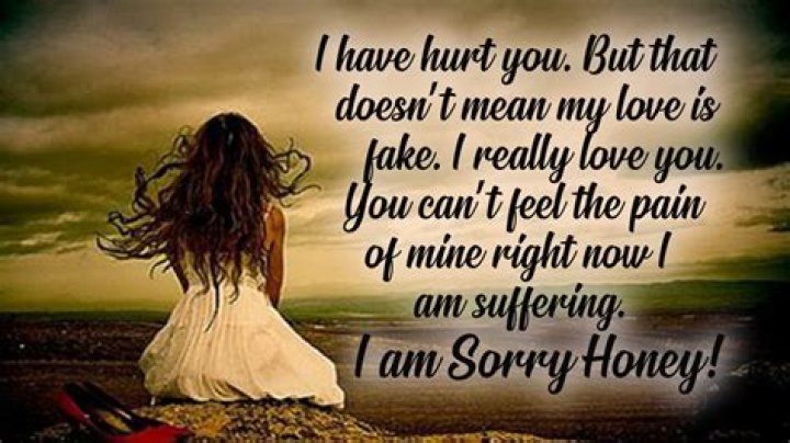 Quotes About Being Sorry SERMUHAN