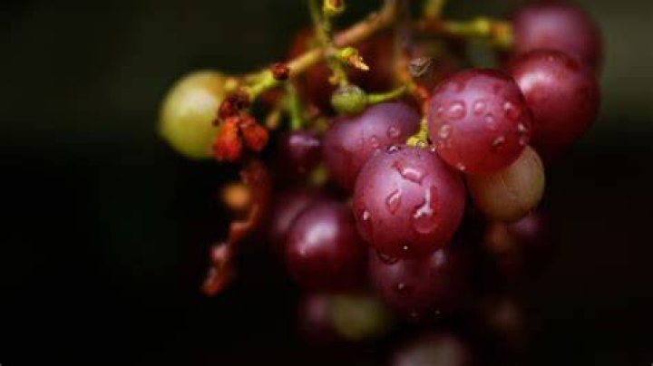 red grapes testosterone foods