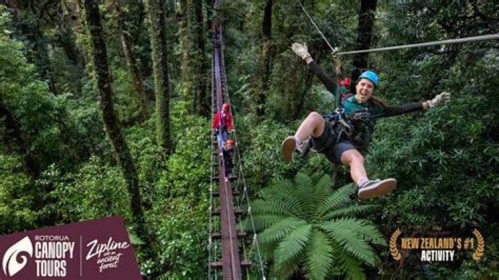 Rotorua Canopy Tours offers a great mix of adrenalin-inducing activities with environmental education. Photo / Supplied