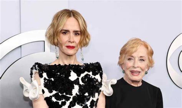 Sarah Paulson's Face Perfectly Sums Up Our Reaction to the Met Gala Red Carpet
