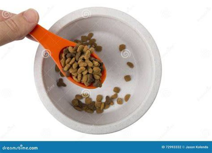 scooping cat food
