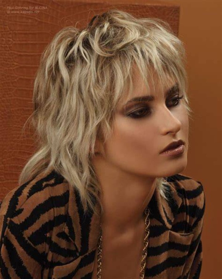 shaggy 70s hairstyles