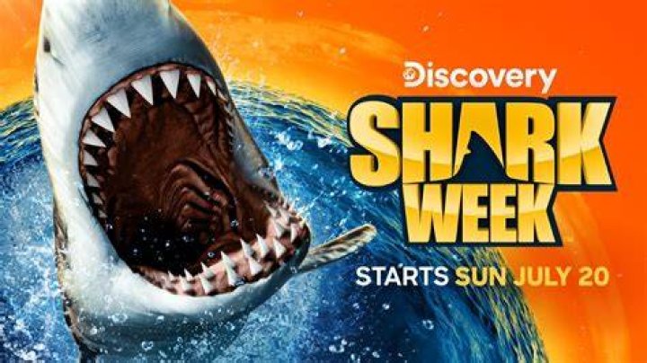 Shark Tale(Live Action)