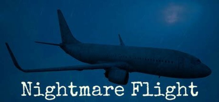 She recalled the nightmare flight in a TikTok which has since attracted more than 200,000 'likes'. Photo / TikTok;_thescottfamily