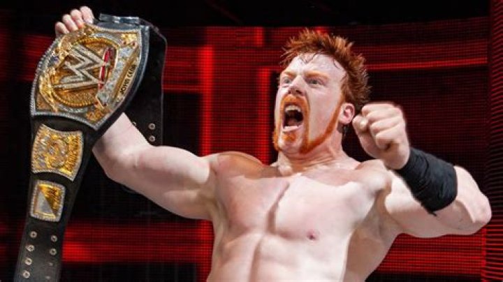 Sheamus Net Worth, Age, Height, Weight, Family, Wiki 2024