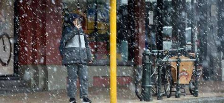 Snow started falling in Dunedin on Monday afternoon. Photo / ODT