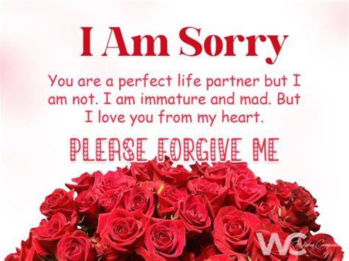 Sorry Messages for your Husband. The Perfect Apology for Him