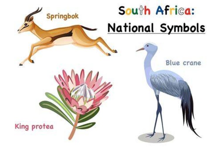 South African national symbols