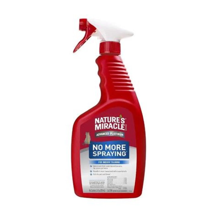 spraying on stain remover