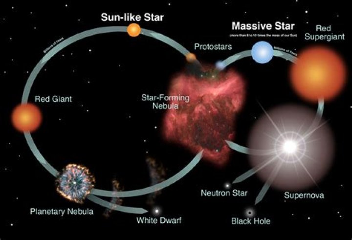 stars stars