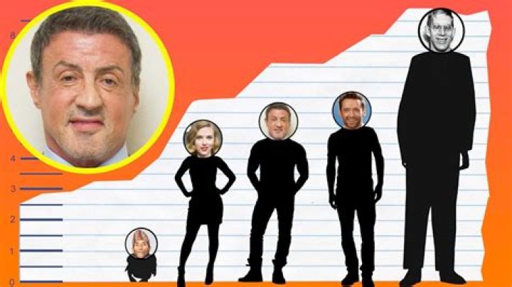Sylvester Stallone height