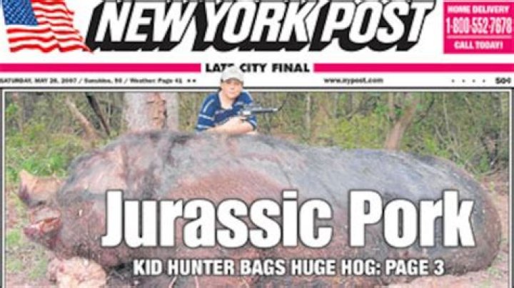 Tale of giant boar kill could just be load of hogwash