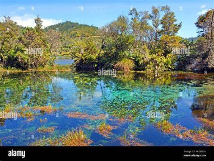 Te Waikoropupū Springs, near Takaka, has some of the clearest waters ever measured, along with largest cold water springs in the Southern Hemisphere. Photo / Supplied
