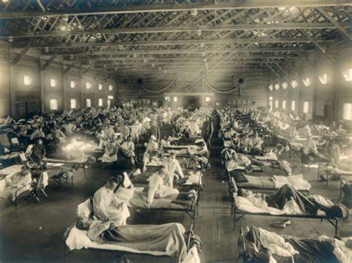 The Influenza Pandemic and The War