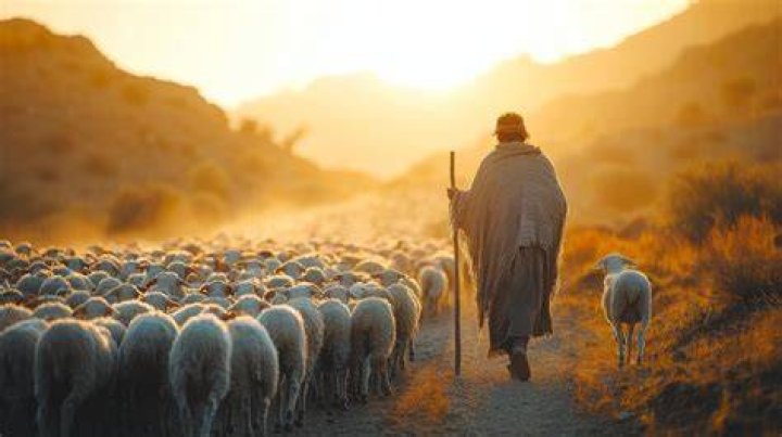 This Is My Shepherd by UPPERROOM