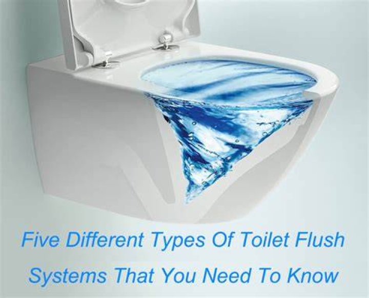 Toilet Buying Guide: Toilet Types and Flush Systems