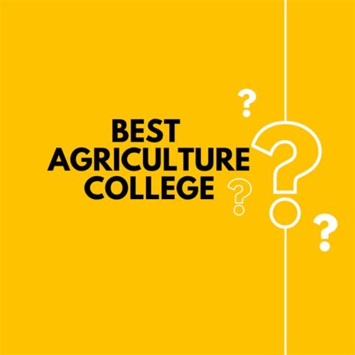 Top 20 agricultural colleges in South Africa 2023: best courses