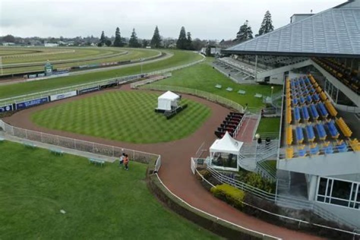 Trackwork at Riccarton Park this morning with the weather clearing and trials going ahead. Photo / Tim Mills
