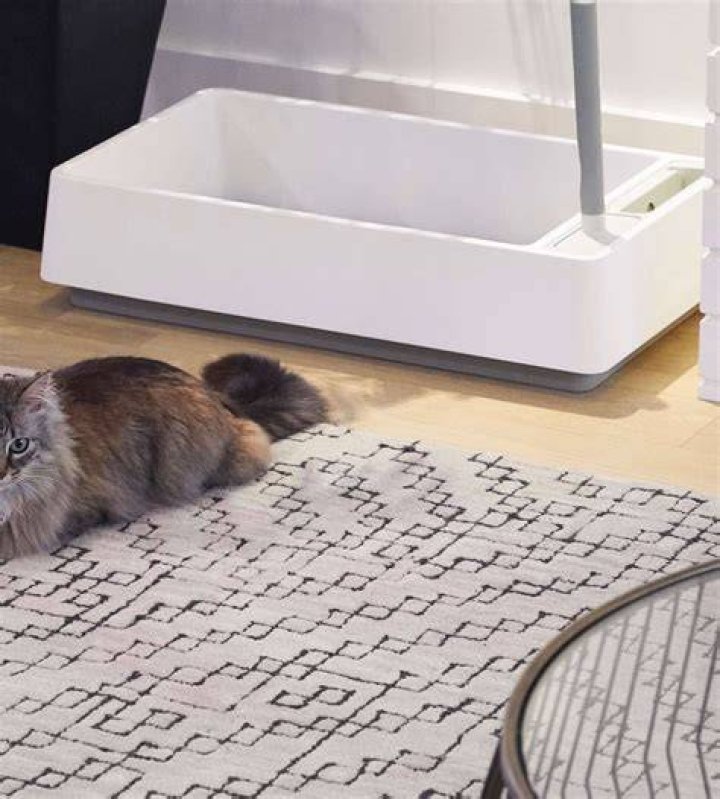 tuft and paw litterbox