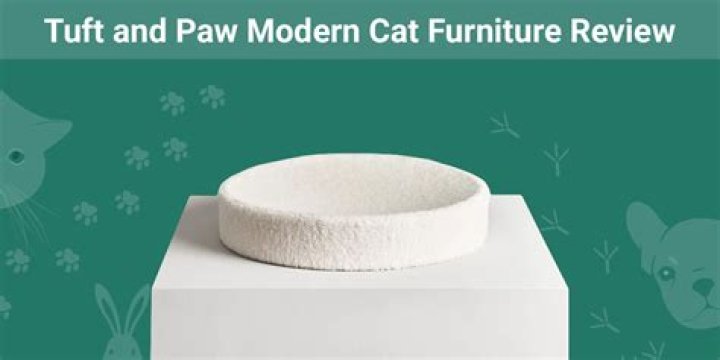 Tuft and Paw Modern Cat Furniture Review 2024: Pros, Cons & Verdict