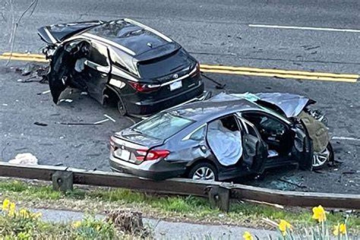 Two dead when car hits tree in North Fort Myers