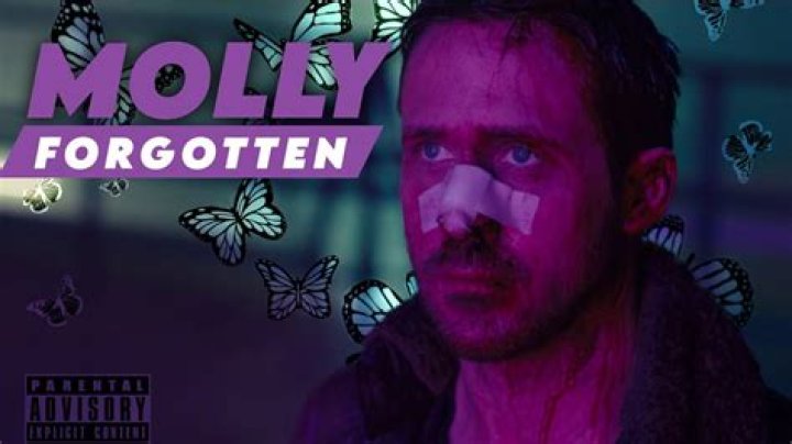 Unraveling The Mystery Is Molly Noblitt In Jail For Killing Aubreigh