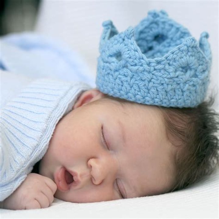 Unveiling the Coolest Baby Alien Video Fan Van