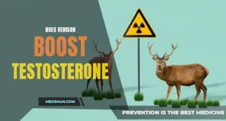 venison boost testosterone