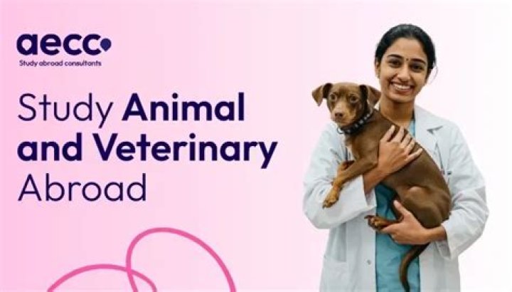 Veterinary study abroad
